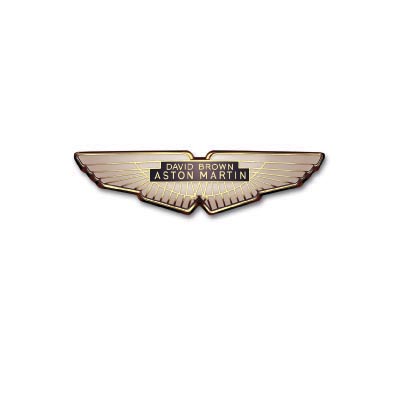 Custom aston martin logo iron on transfers (Decal Sticker) No.100126